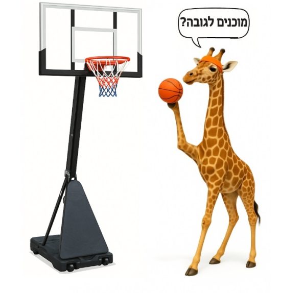 מתקן סל כדורסל מקצועי לחצר הבית